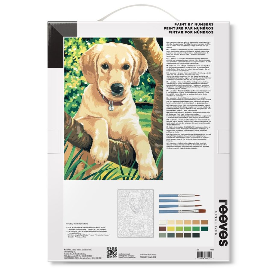 reeves Paint By Numbers 12x16 Inch Labrador