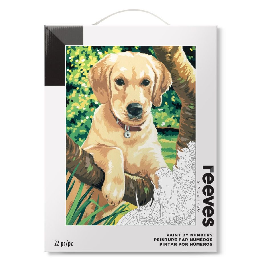 reeves Paint By Numbers 12x16 Inch Labrador