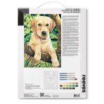 reeves Paint By Numbers 12x16 Inch Labrador