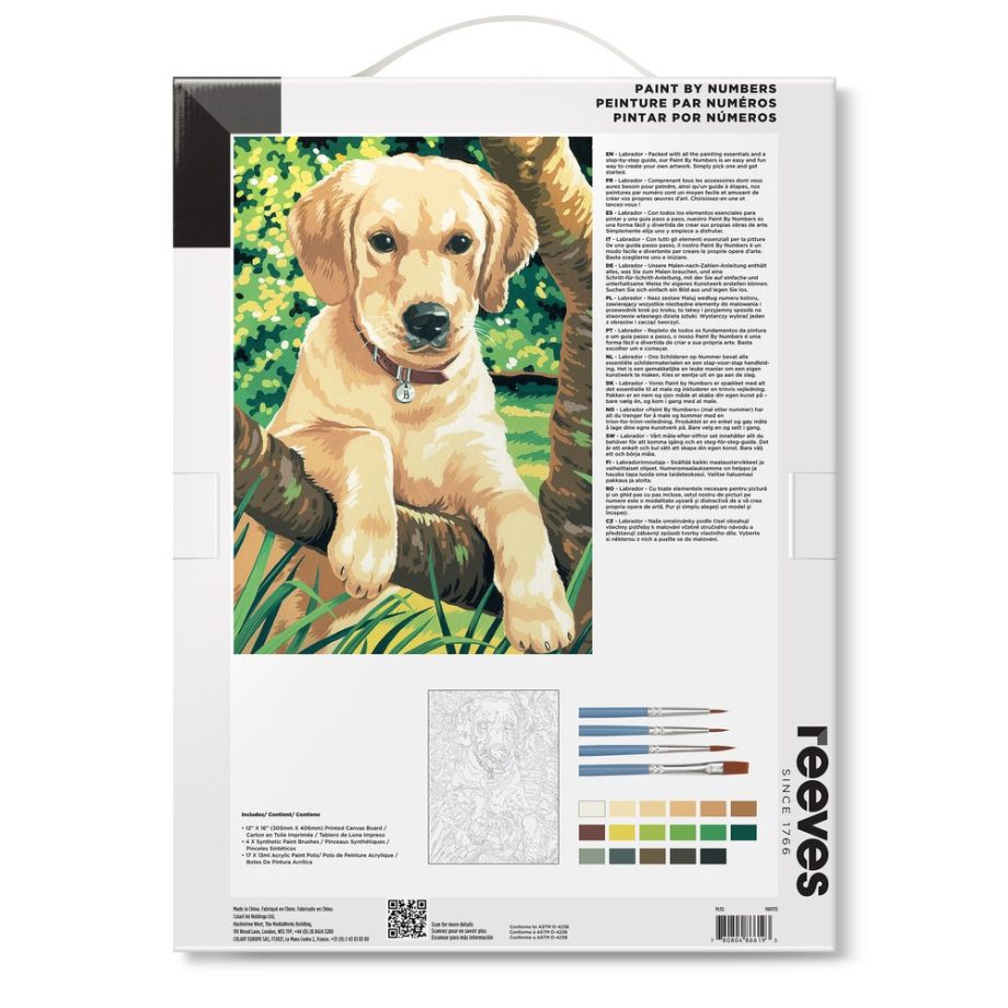 reeves Paint By Numbers 12x16 Inch Labrador