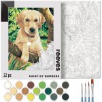 reeves Paint By Numbers 12x16 Inch Labrador