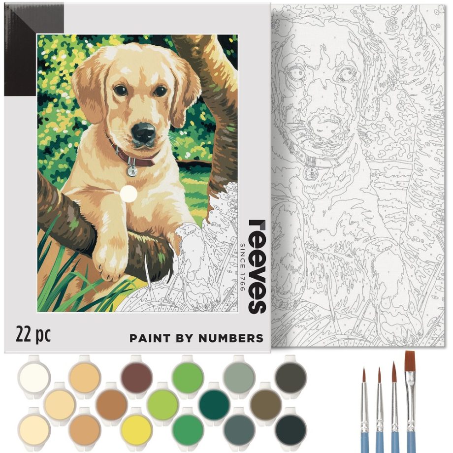 reeves Paint By Numbers 12x16 Inch Labrador