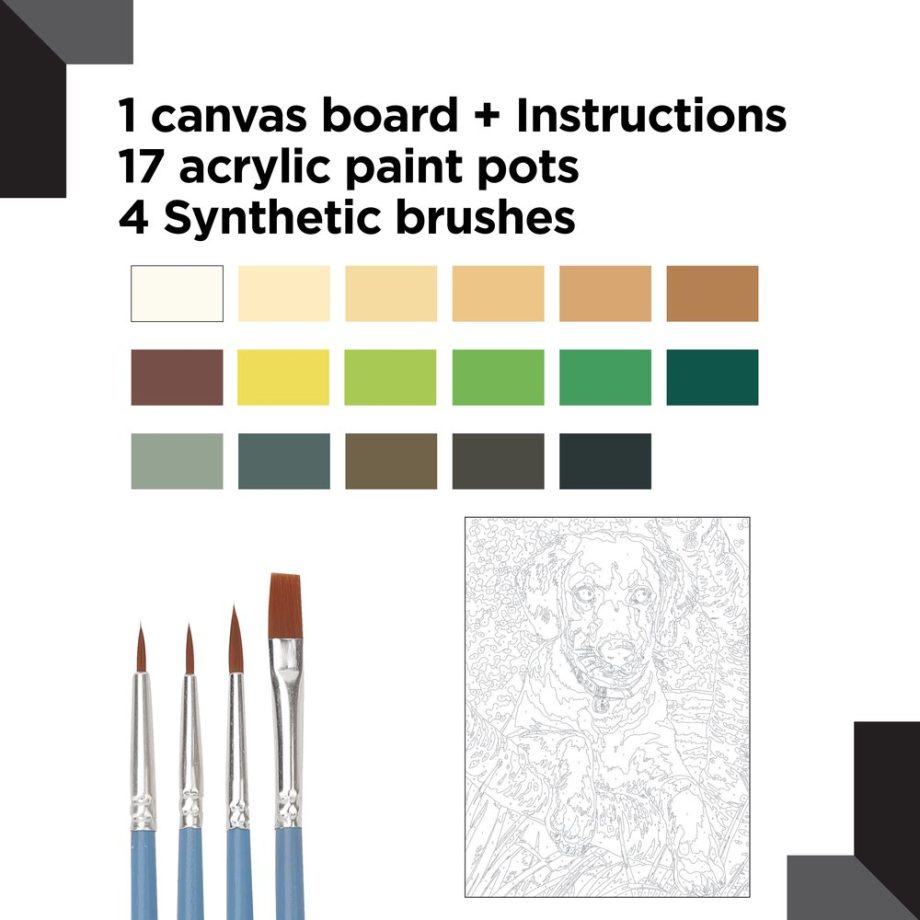 reeves Paint By Numbers 12x16 Inch Labrador