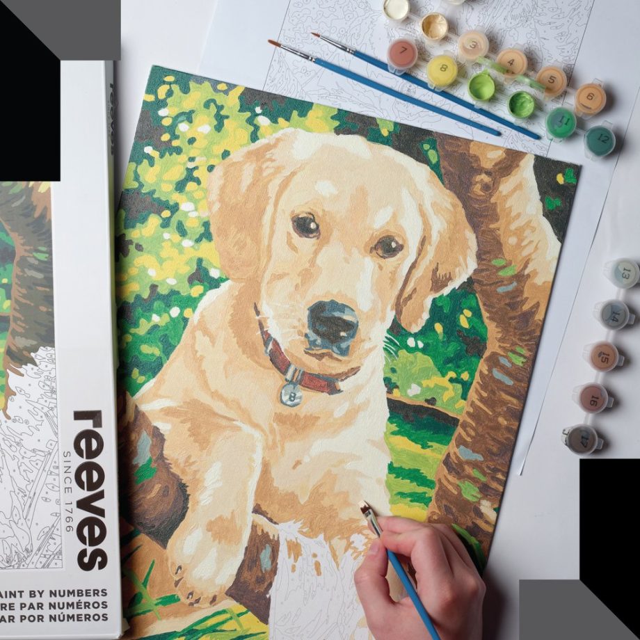 reeves Paint By Numbers 12x16 Inch Labrador