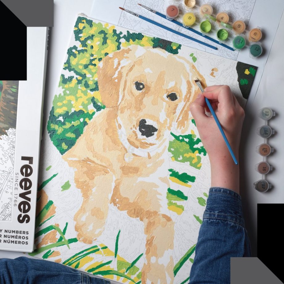 reeves Paint By Numbers 12x16 Inch Labrador