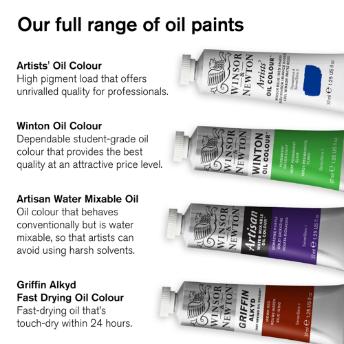 Winsor & Newton Winton Oil Colour Set 10x12ml