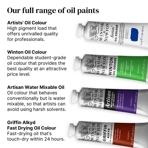 Winsor & Newton Artists' Oil Colour Introductory Set 10x21ml