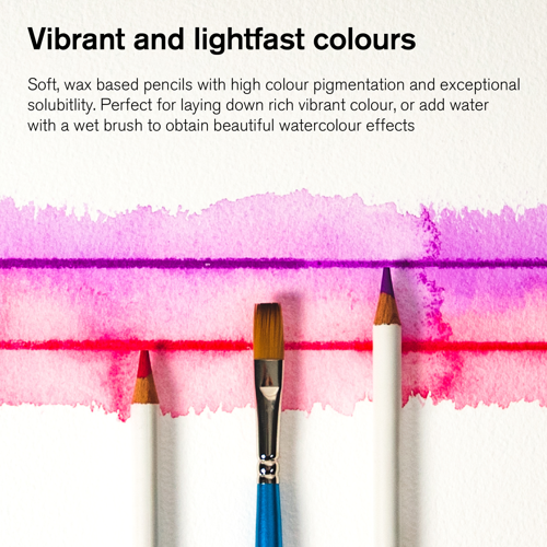 Winsor & Newton Studio Collection Watercolour Pencil x12