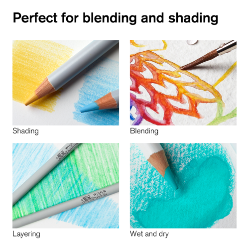 Winsor & Newton Studio Collection Watercolour Pencil x12