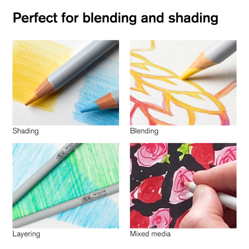 Winsor & Newton Studio Collection Colour Pencil x48
