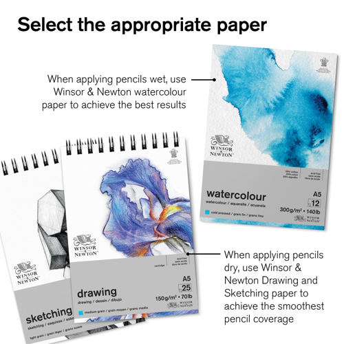 Winsor & Newton Studio Collection Watercolour Pencil x12