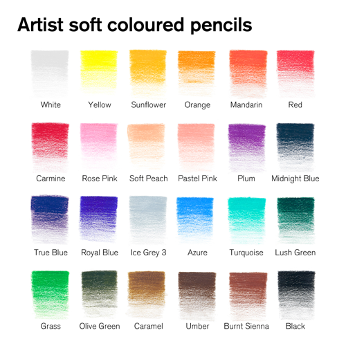Winsor & Newton Studio Collection Colour Pencil x24