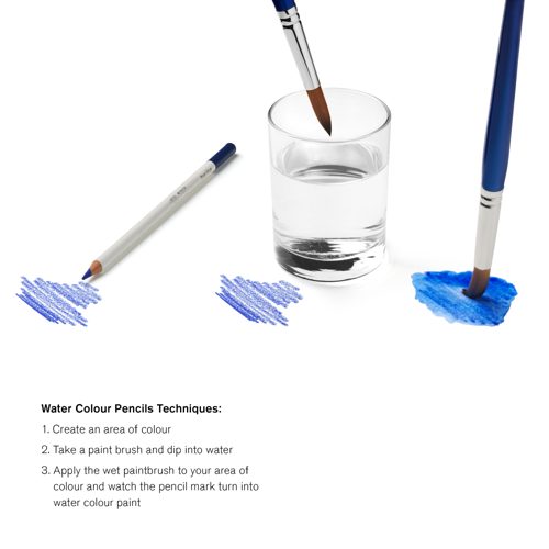 Winsor & Newton Studio Collection Watercolour Pencil x12