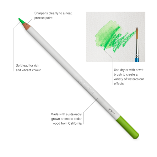 Winsor & Newton Studio Collection Watercolour Pencil x12
