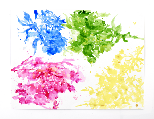 Winsor & Newton Drawing Ink Collection - Set of 4 (Vibrant Tones)