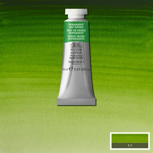 Professional Watercolour