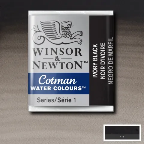 Cotman Watercolour