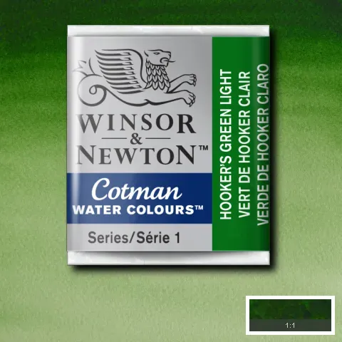 Cotman Watercolour