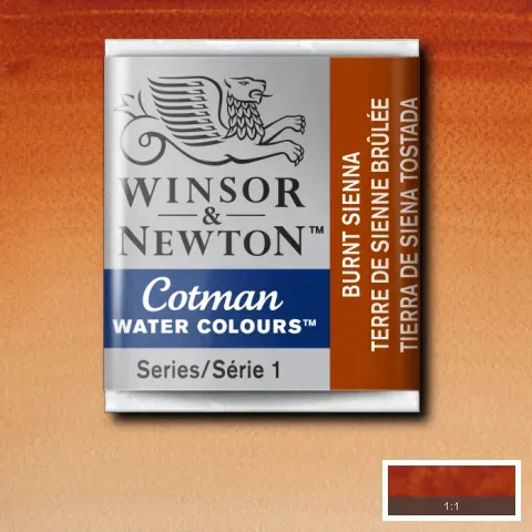 Cotman Watercolour