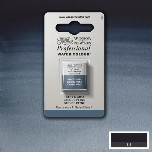 Professional Watercolour