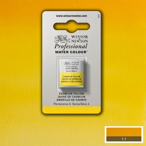 Professional Watercolour